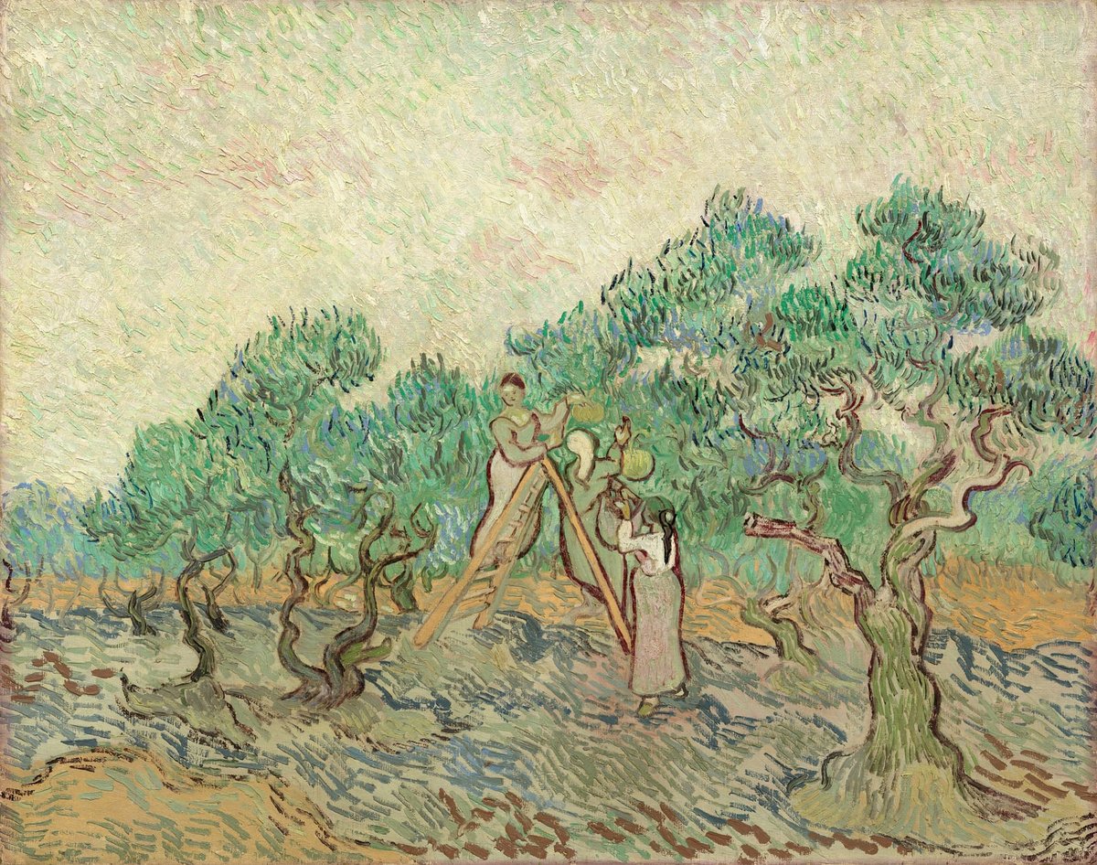 How the Olive Groves of Provence Inspired Van Gogh