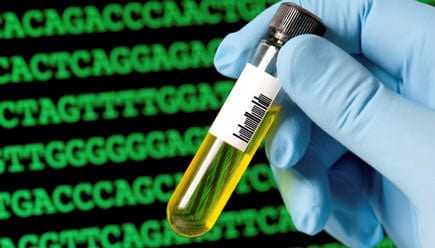 Olive Oil May Affect How Genes Function Olive Oil May Affect How Genes Function