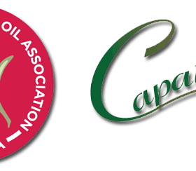 Logos of the North American Olive Oil Association and Capatriti brand featuring olives. - Olive Oil Times