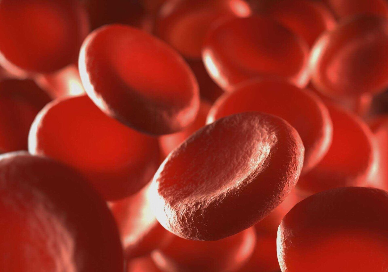 Close-up view of red blood cells in a microscopic image showing their round shape and texture. - Olive Oil Times