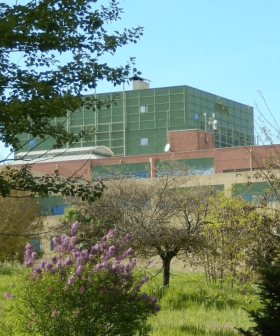 Building of the University of Ioannina partially obscured by trees and vegetation. - Olive Oil Times