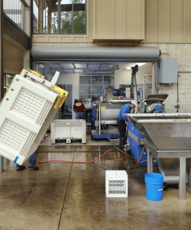 Interior of an olive oil production facility with equipment and workers in action. - Olive Oil Times