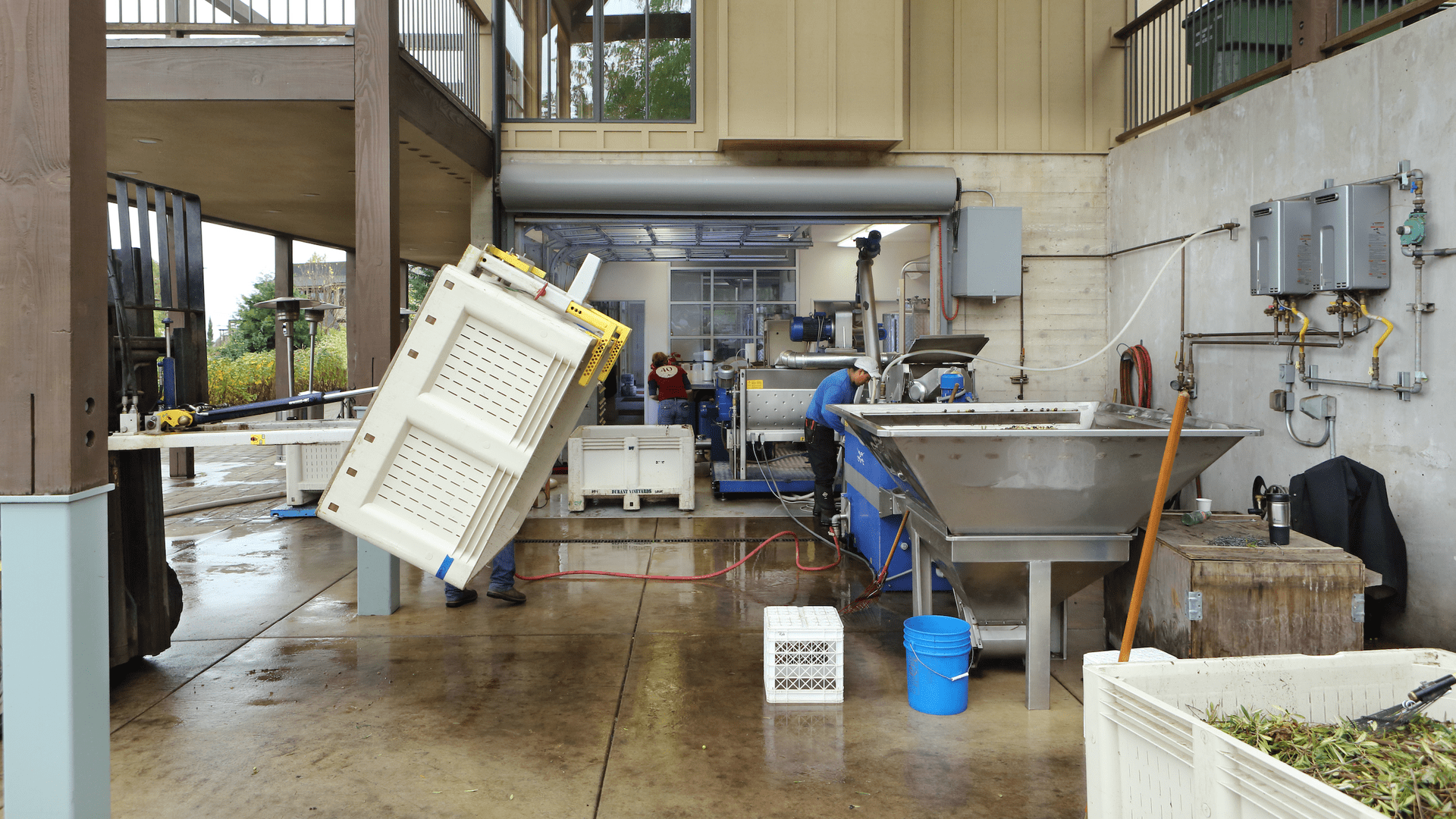 Interior of an olive oil production facility with equipment and workers in action. - Olive Oil Times