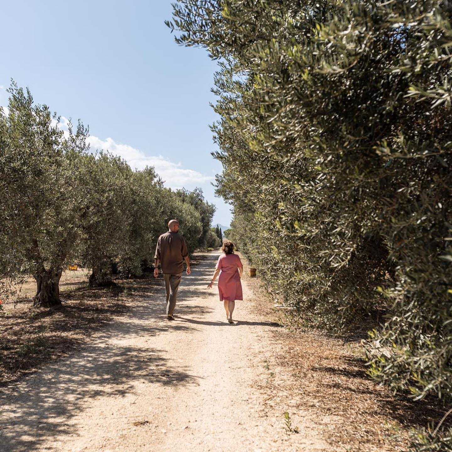 Beramendi inspecciona los olivares con Antonella Titone, en Trapani, Sicilia