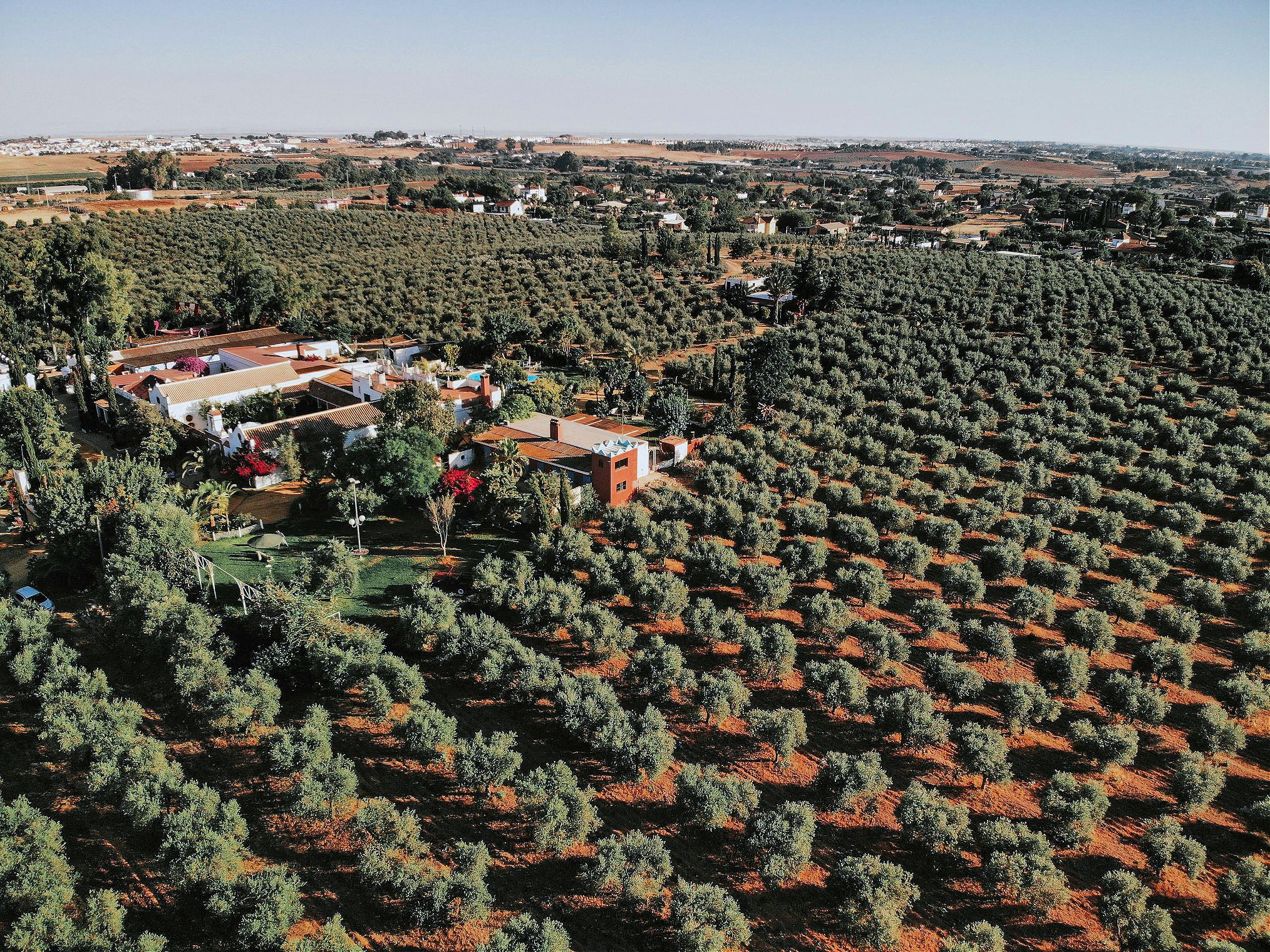 Diego Vergara, Espagne