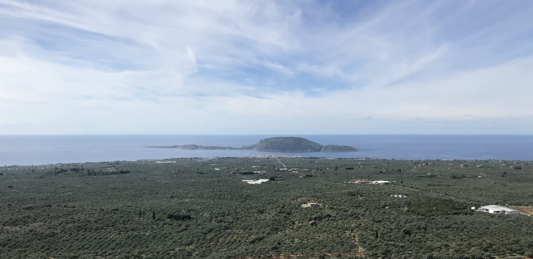 A panoramic view of a coastal landscape featuring an island surrounded by water and olive groves in the foreground.