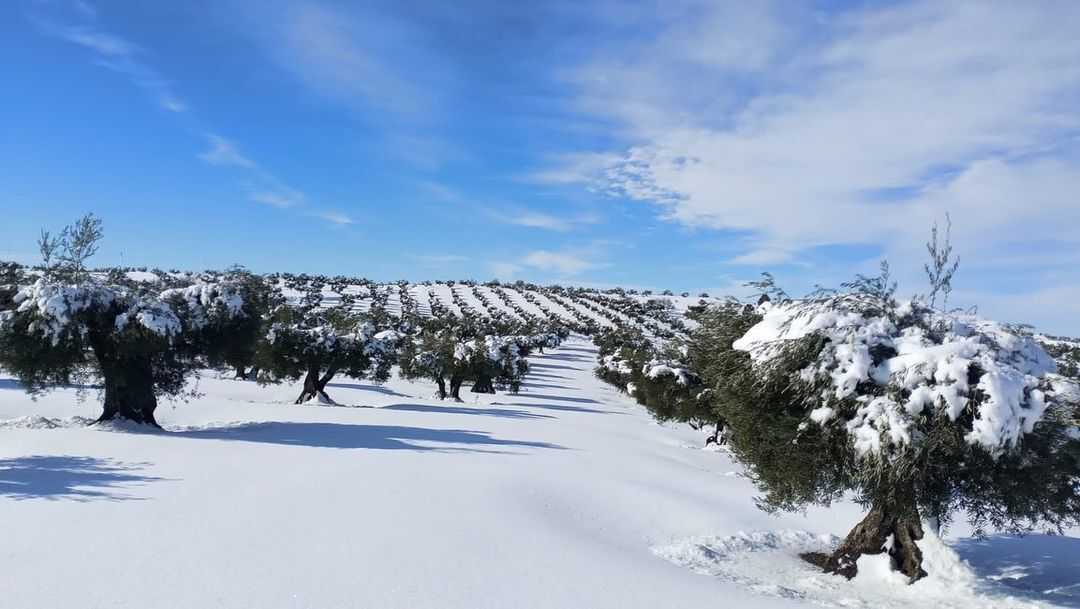 Recespaña Cooperative