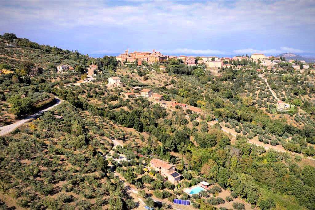Aerial view of a Tuscan landscape featuring olive groves and a historic town in the distance.