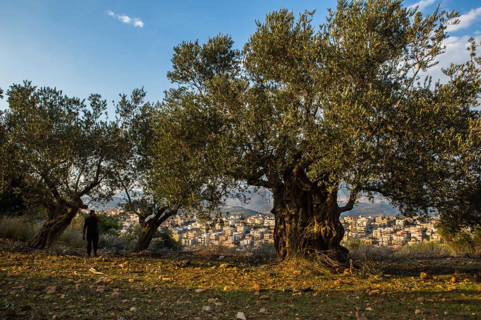 Foto: Itiel Zion