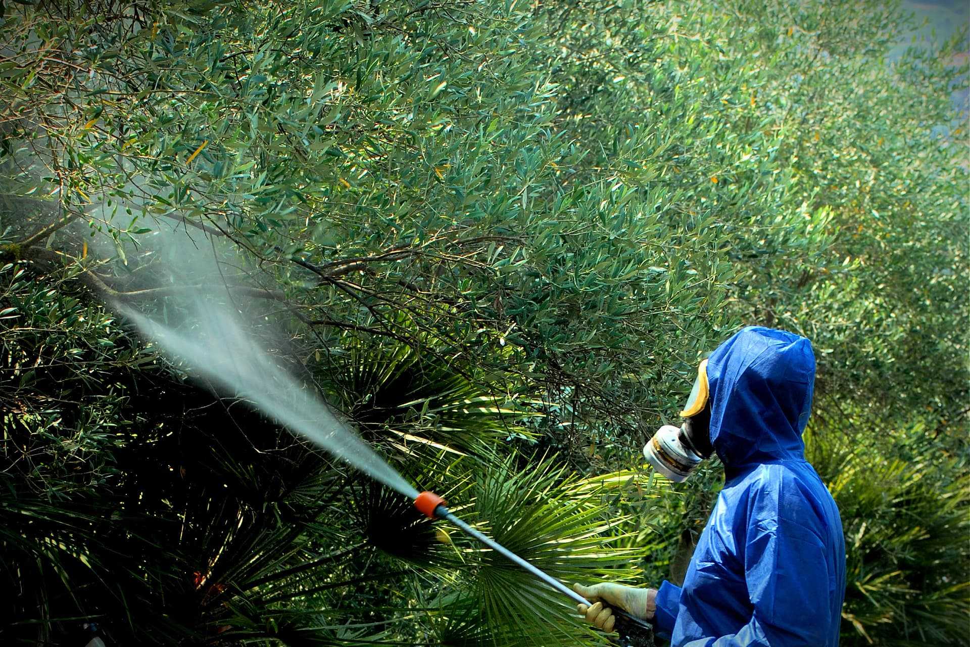 Until European authorities banned its use, dimethoate was a commonly-used pesticide.