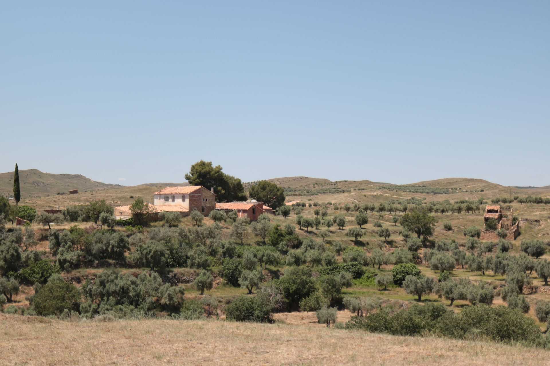 A rural landscape featuring a cluster of buildings surrounded by olive trees and rolling hills under a clear blue sky.