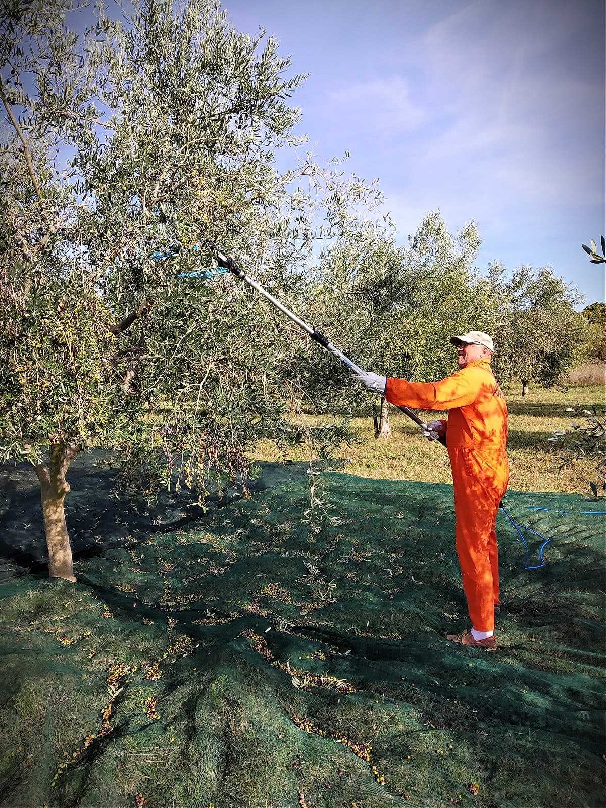 Foto: Nedjeljko Jusup