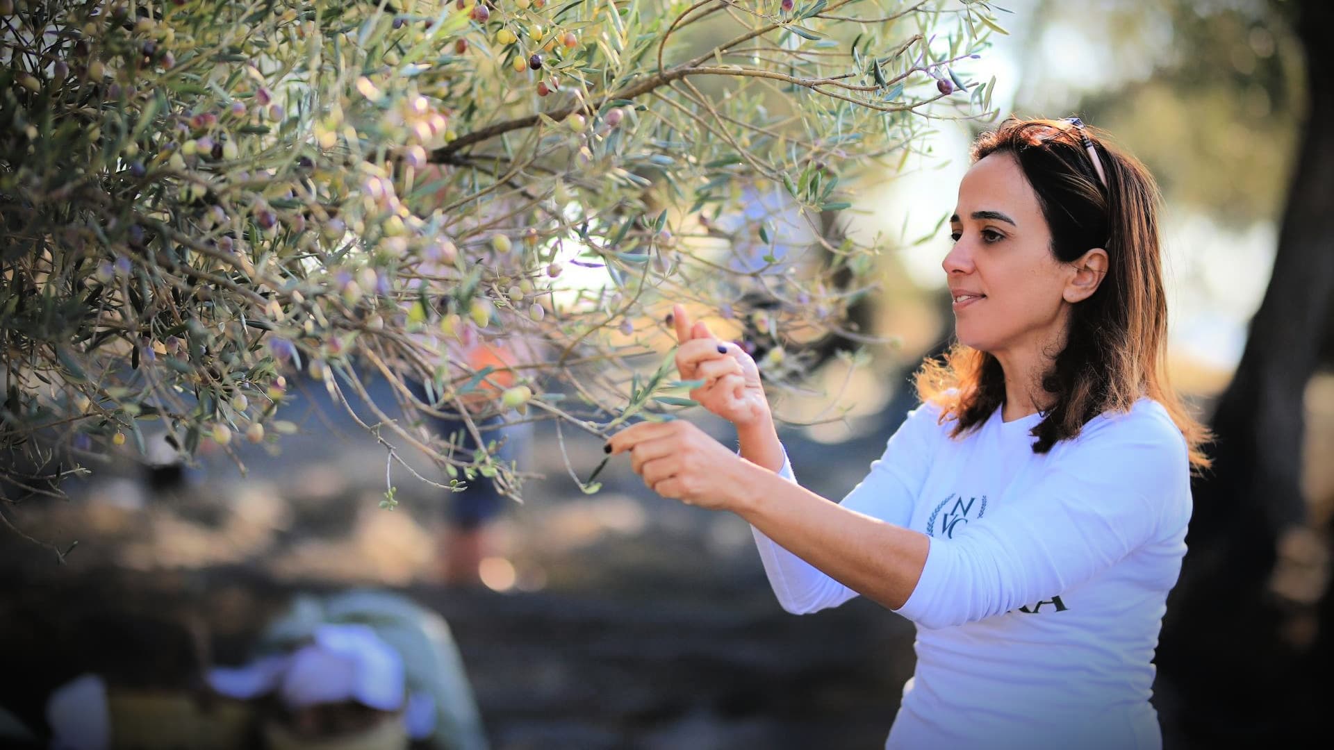 Bahar Alan inspecting trees ahead of a previous harvest.