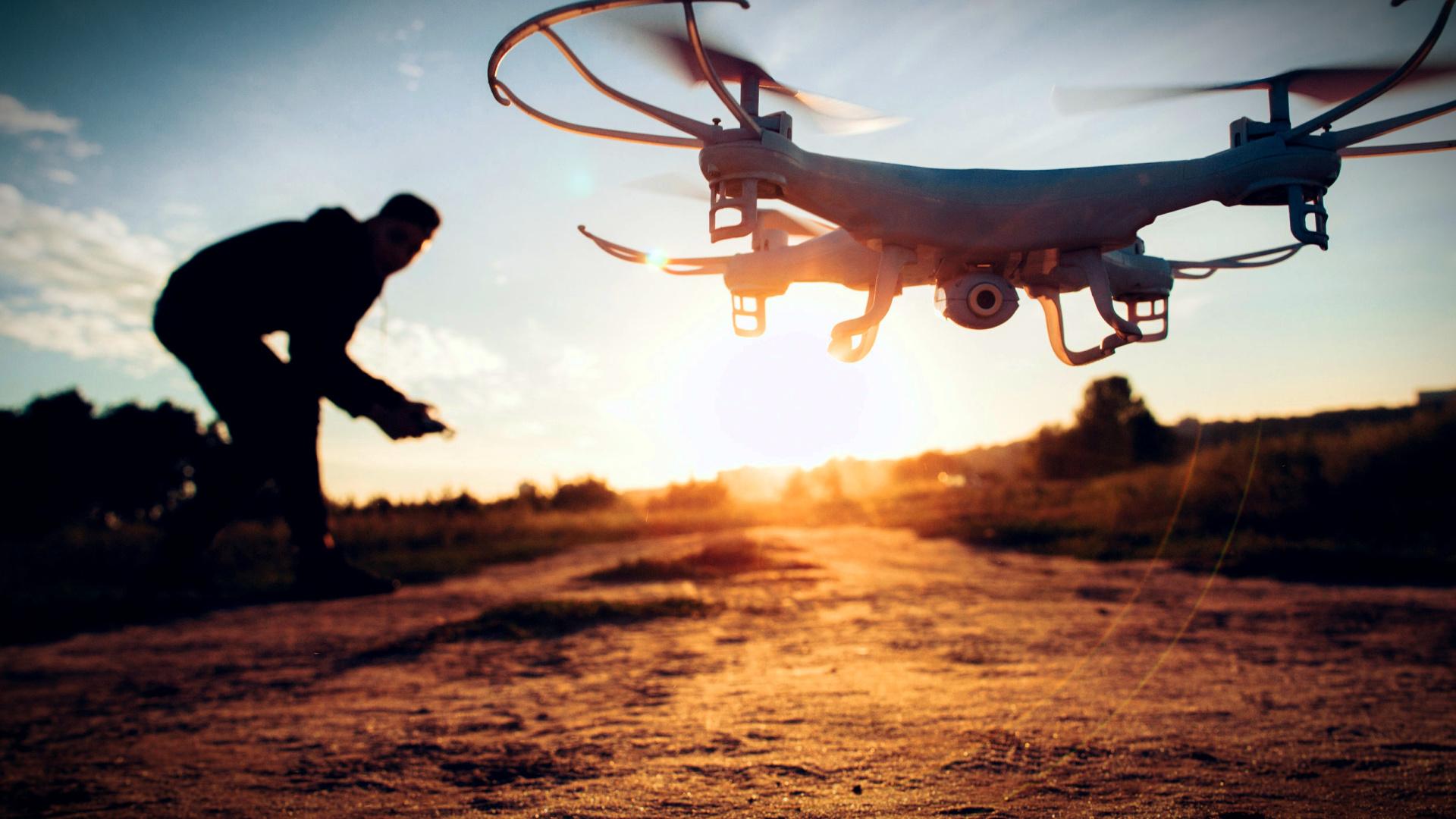 Dogs and Drones: New Projects in Puglia Emphasize Early Detection Against Xylella - Vimarsana News