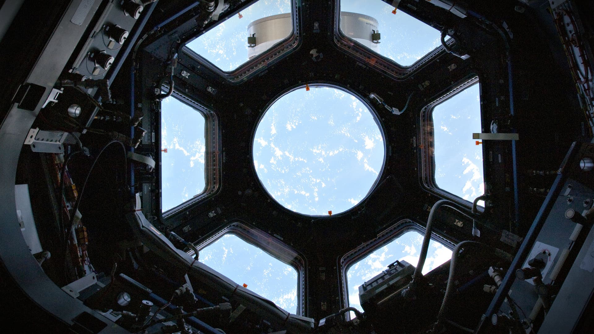 Extra Virgin Olive Oils Will Be Sent to Space in 2022 - Vimarsana News