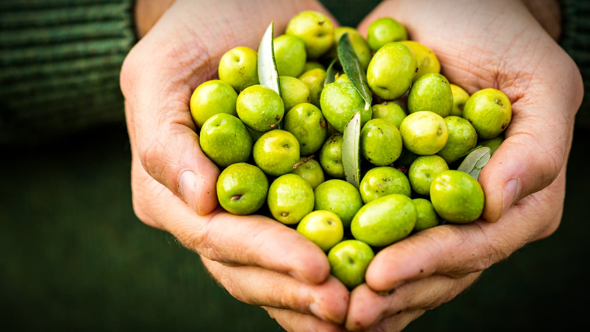 What Are Polyphenols and Why Should You Care? - Vimarsana News