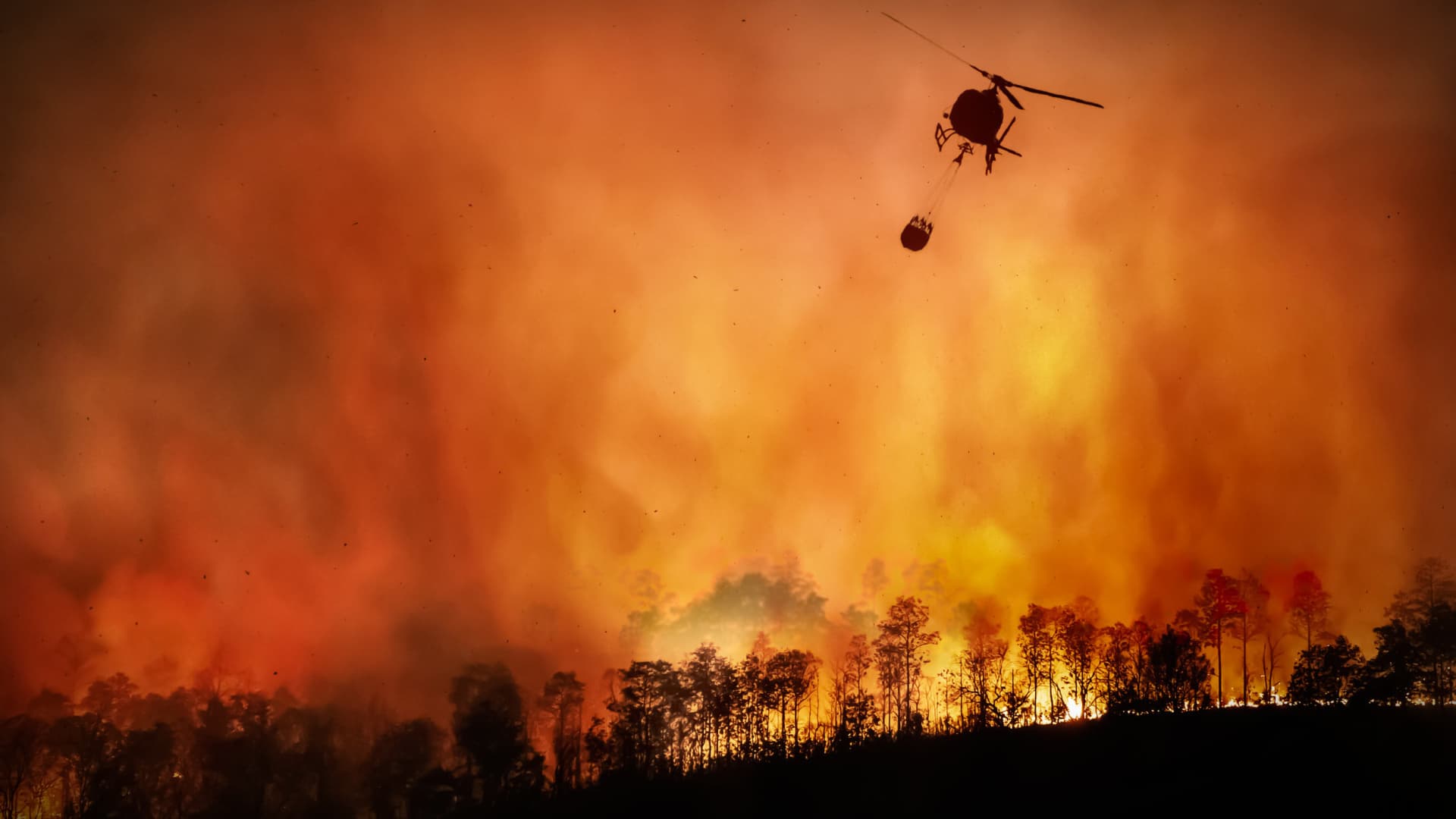 Extreme Weather Cost Billions in Damage in 2021, Study Finds - Vimarsana News
