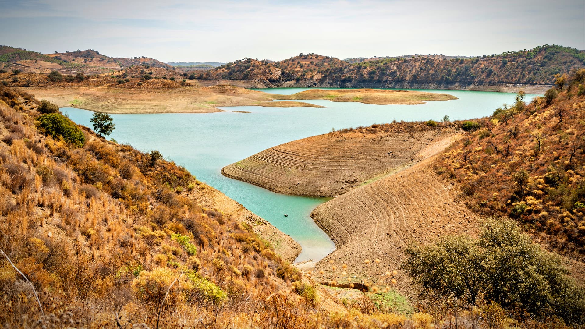 Farmers Are Facing the Brunt of Portugal's Worsening Drought - Vimarsana News