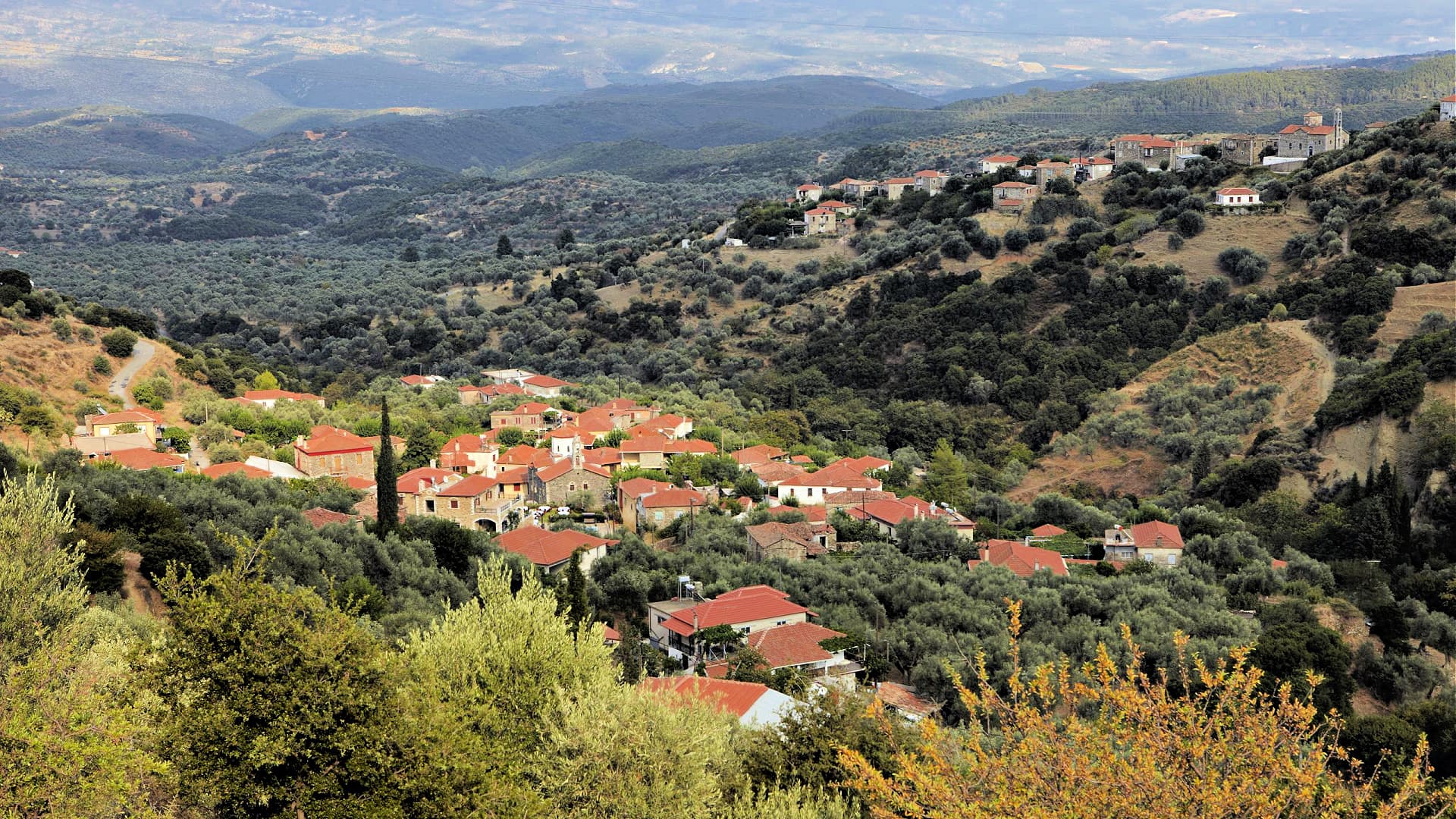 A scenic view of a hillside village surrounded by olive trees and mountains.