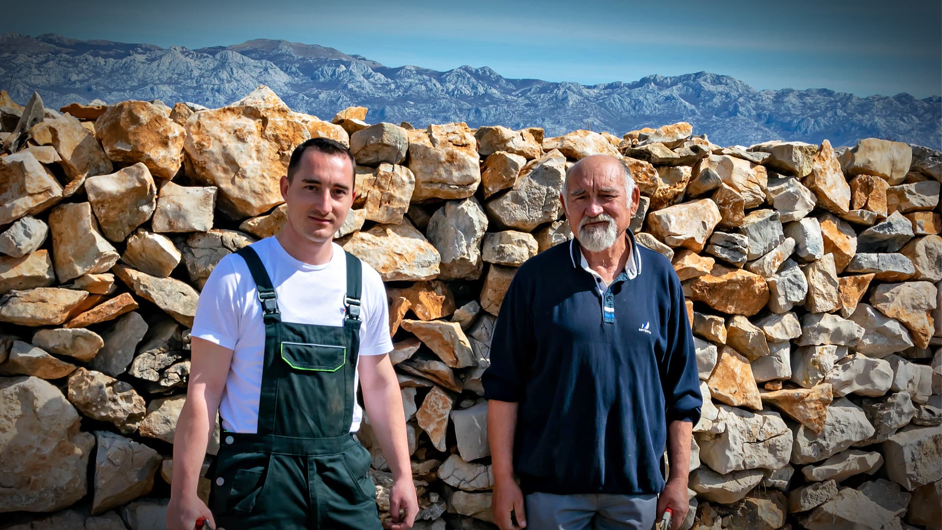 Protecting Olive Trees on the Island of Pag With Dry Stone Walls - Vimarsana News