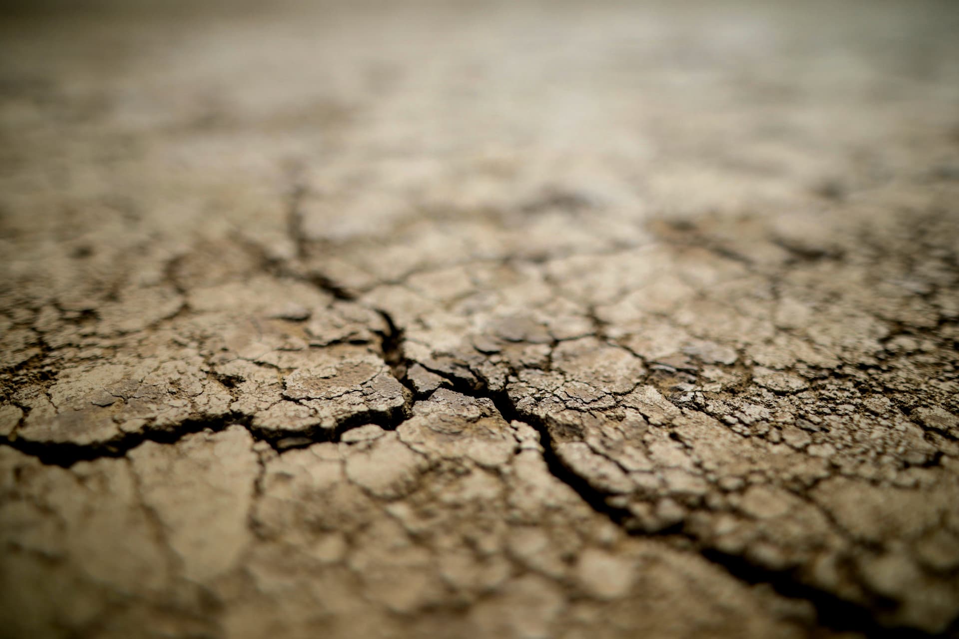Worsening Drought Conditions Predicted in Southern and Central Europe - Vimarsana News