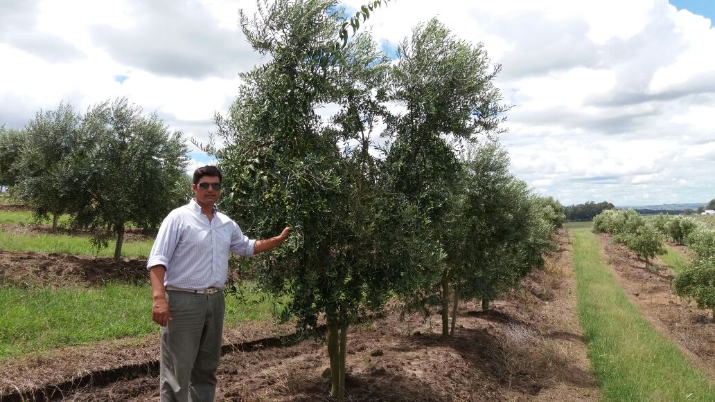 (Photo: Sergio Gómez)