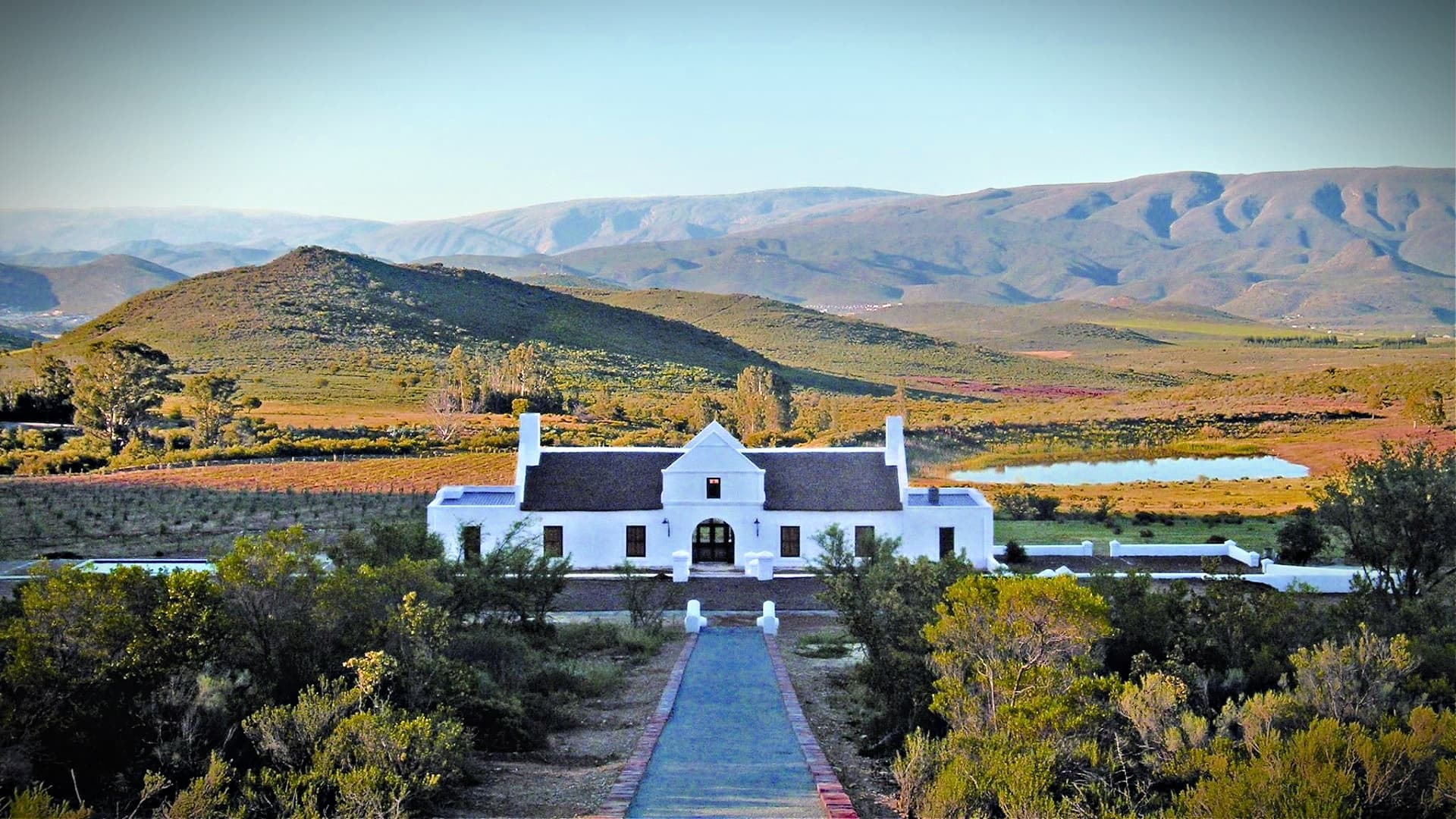 South African Producers Celebrate Record Success at NYIOOC - Vimarsana News