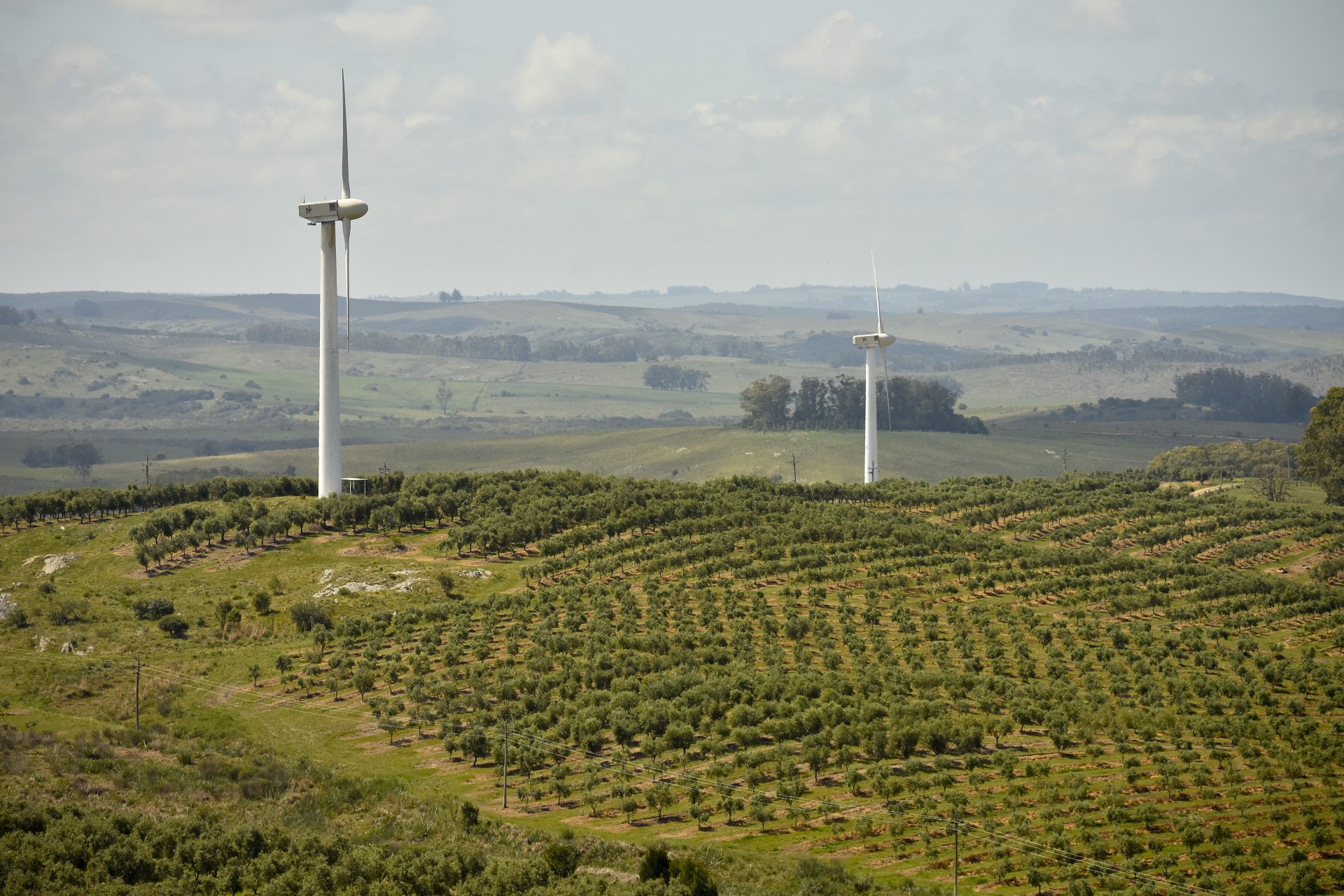 The producers behind Olivares de Rocha enjoyed their second-highest harvest.