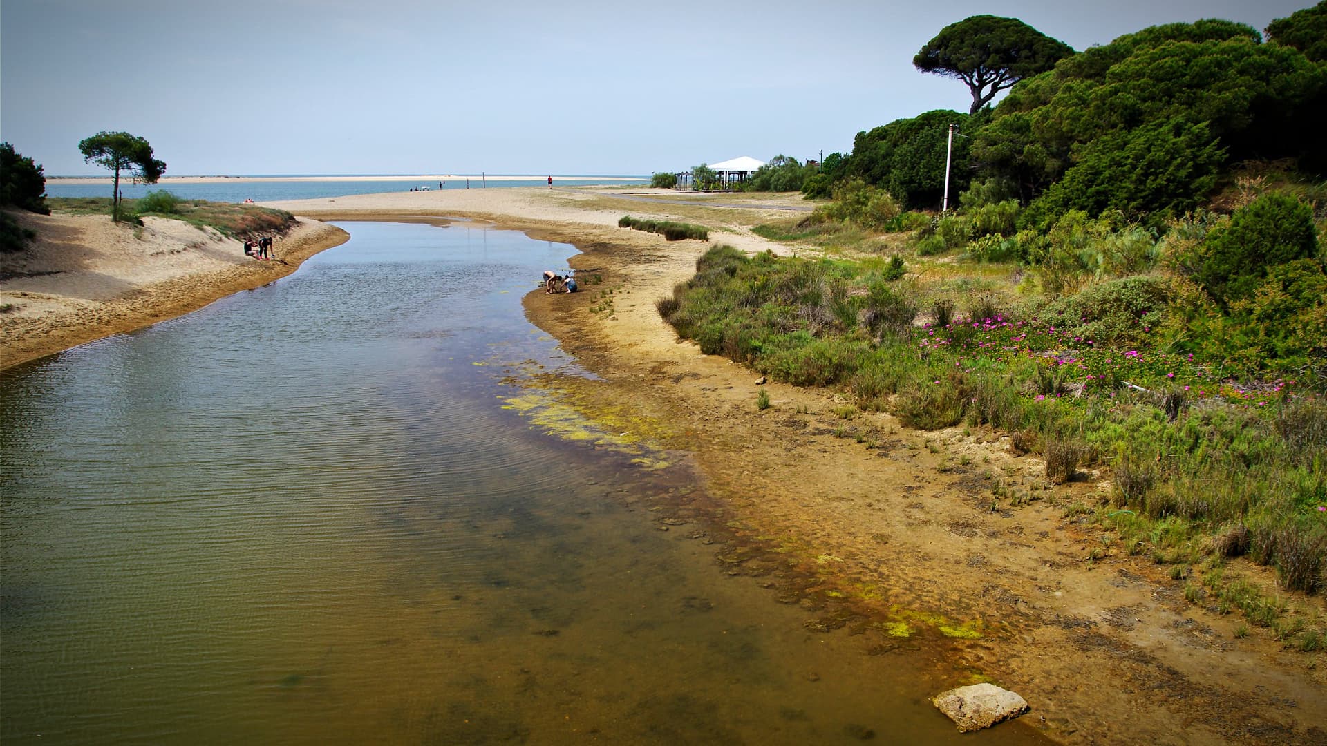 Spain Launches a New Strategy Against Desertification - Vimarsana News