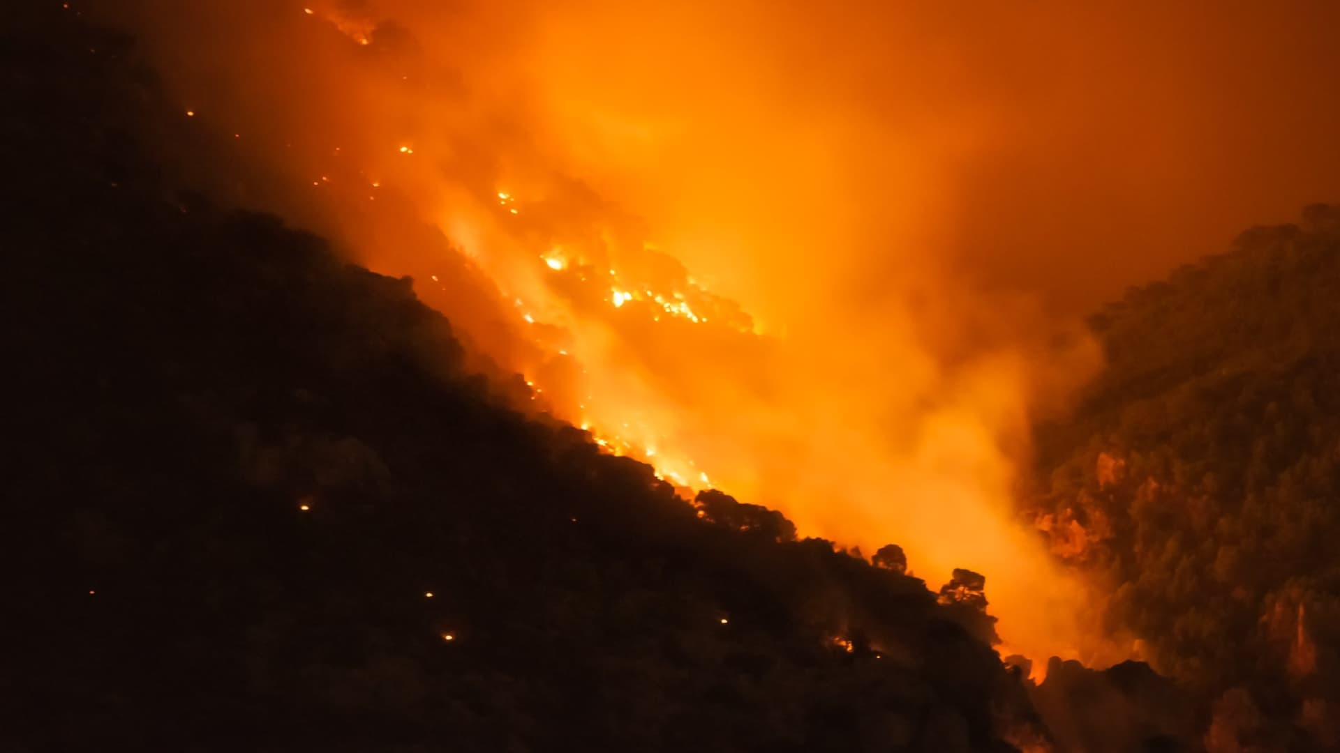 2022 Wildfire Season Expected to Be Europe's Worst - Vimarsana News