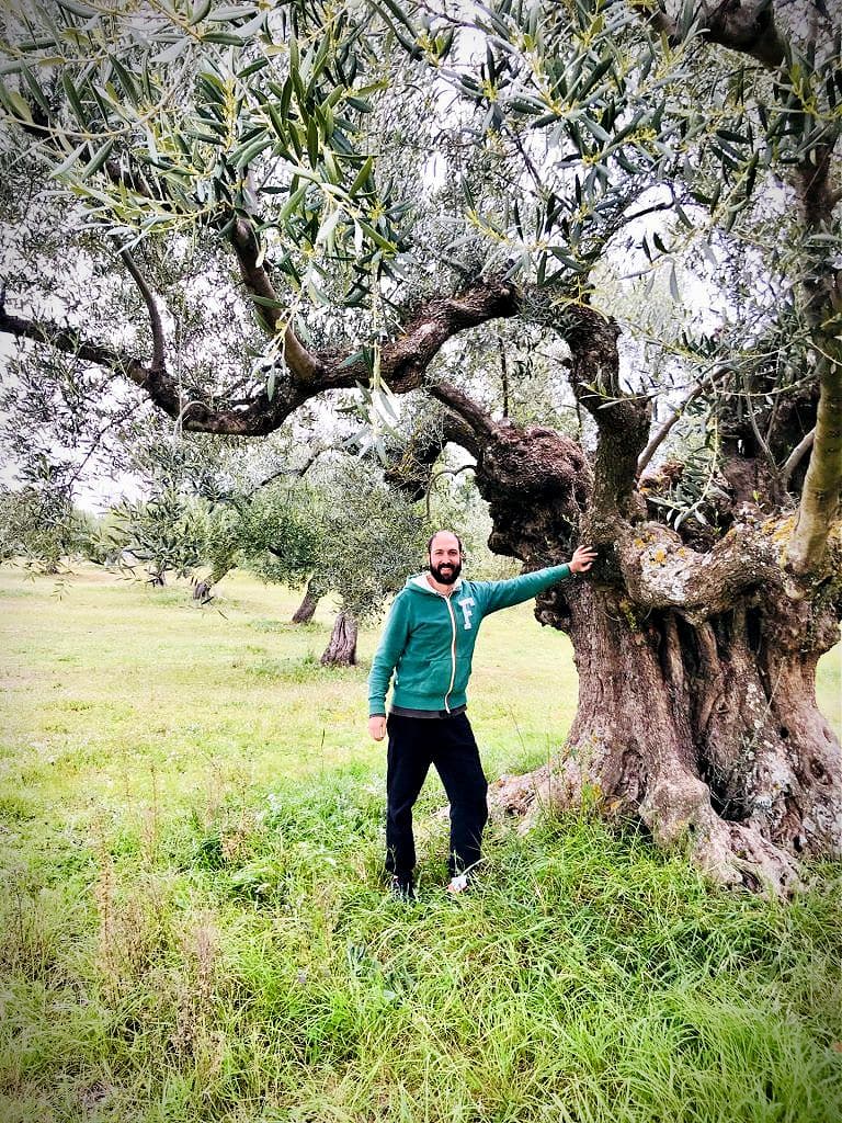 Anastasis Magganas in the olive groves