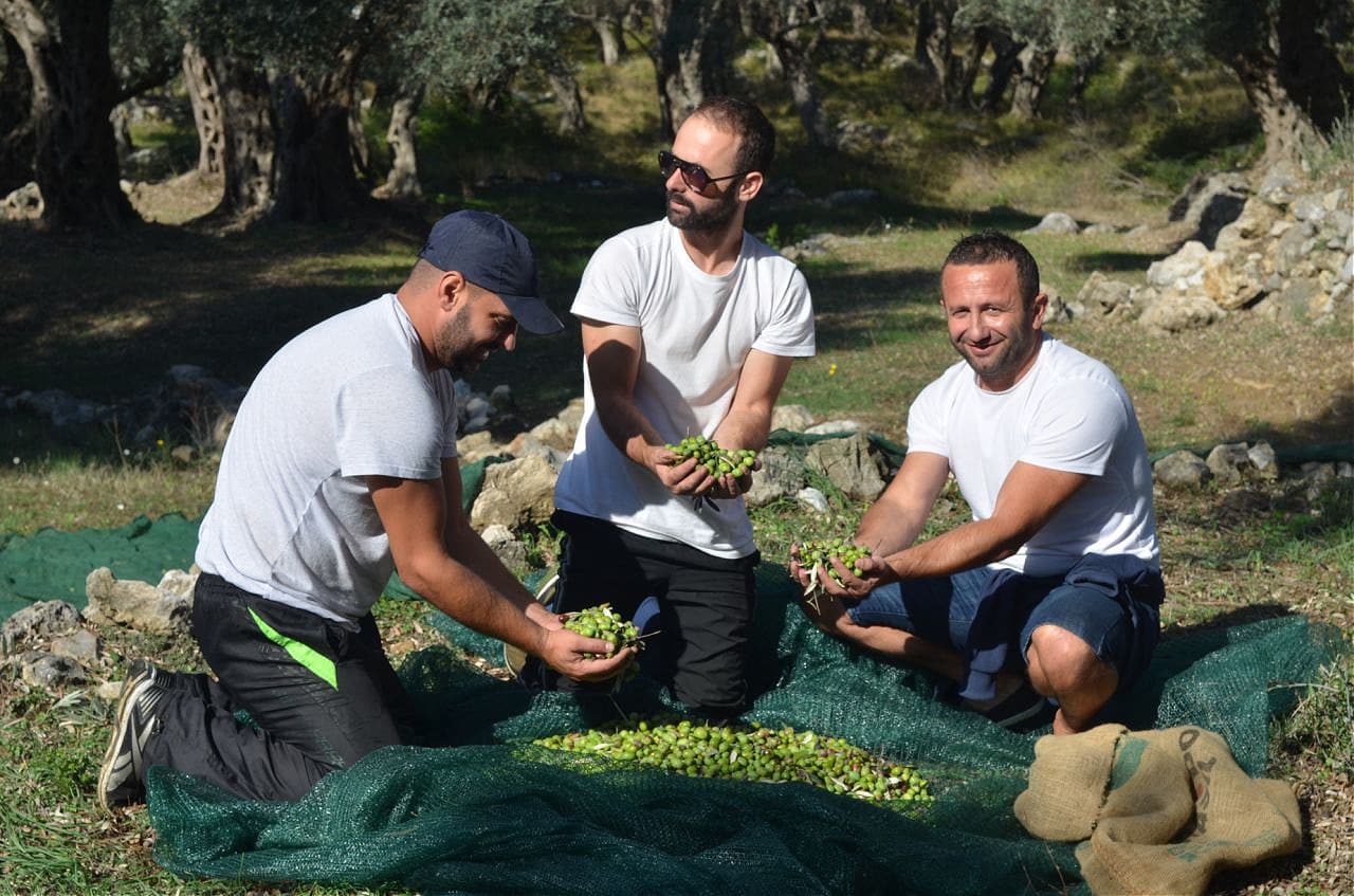 Meet the Montenegrin Producer Who Once Charmed a Royal Couple - Vimarsana News