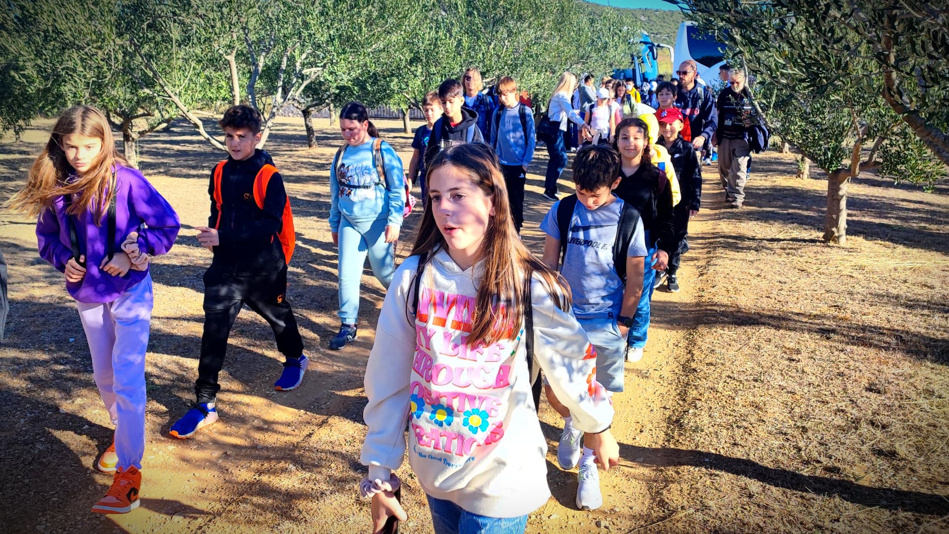 In Croatia, Students Join Award-Winning Farm for Olive Harvest - Vimarsana News