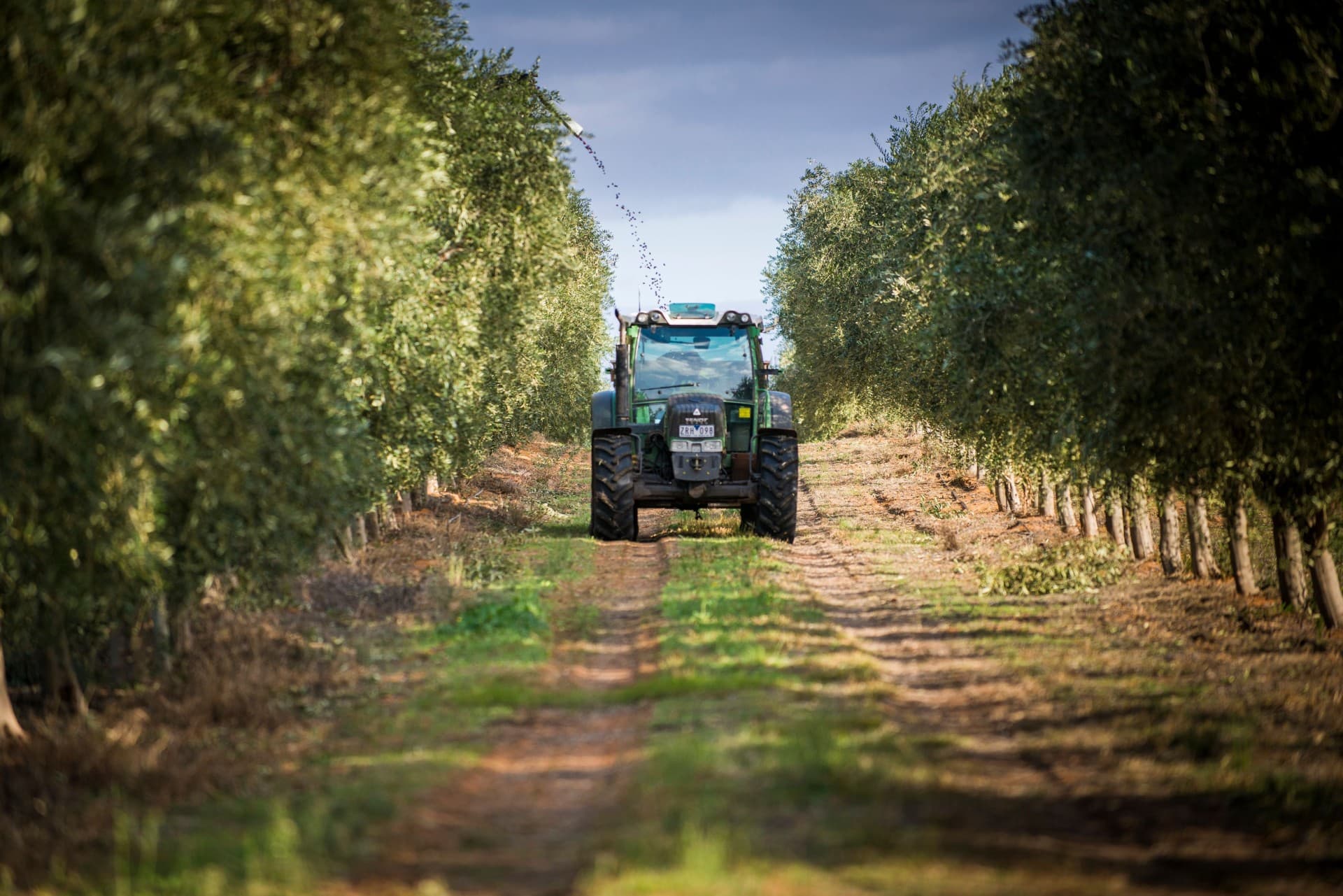 (Foto: Cobram Estate)