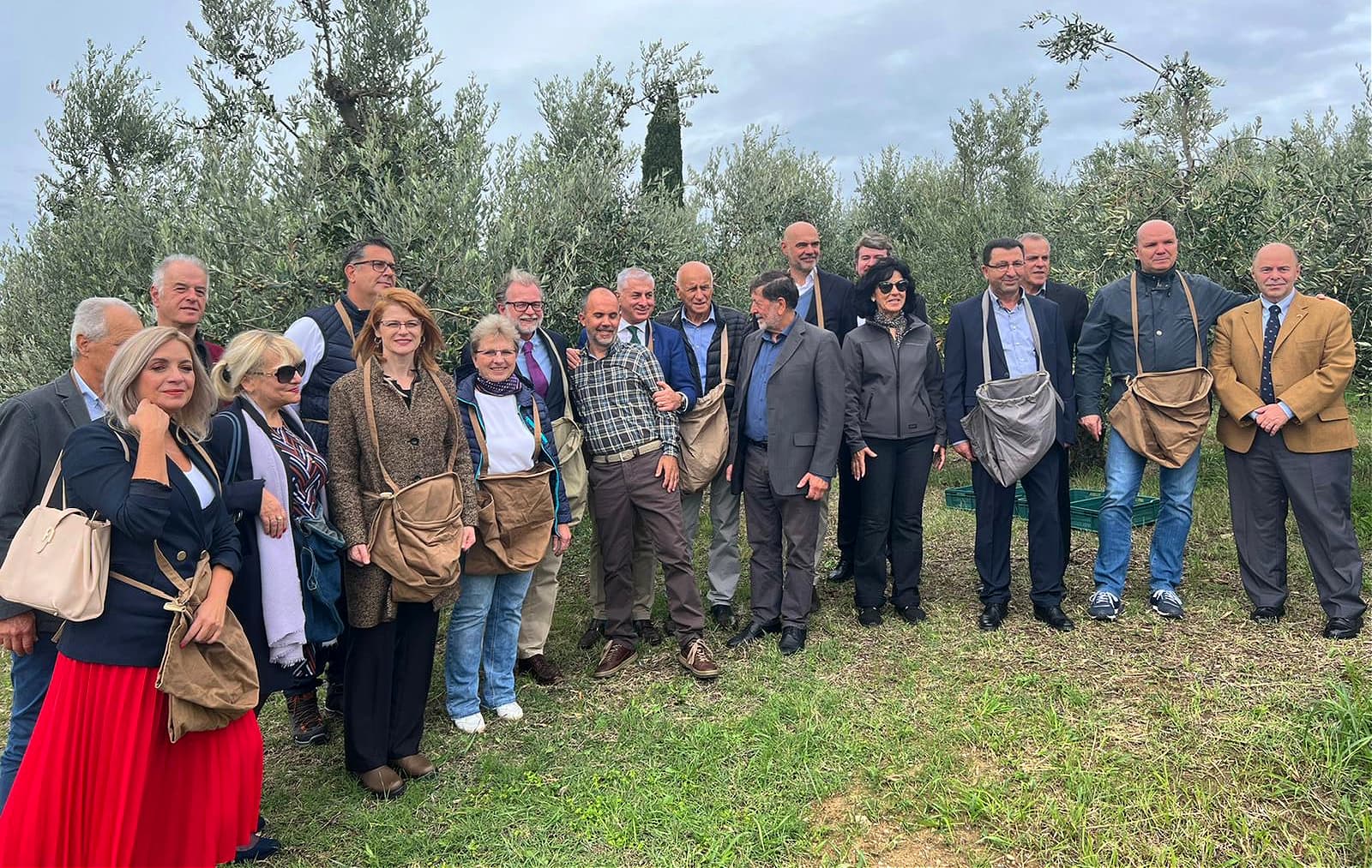 Before the start of the harvest in Izola