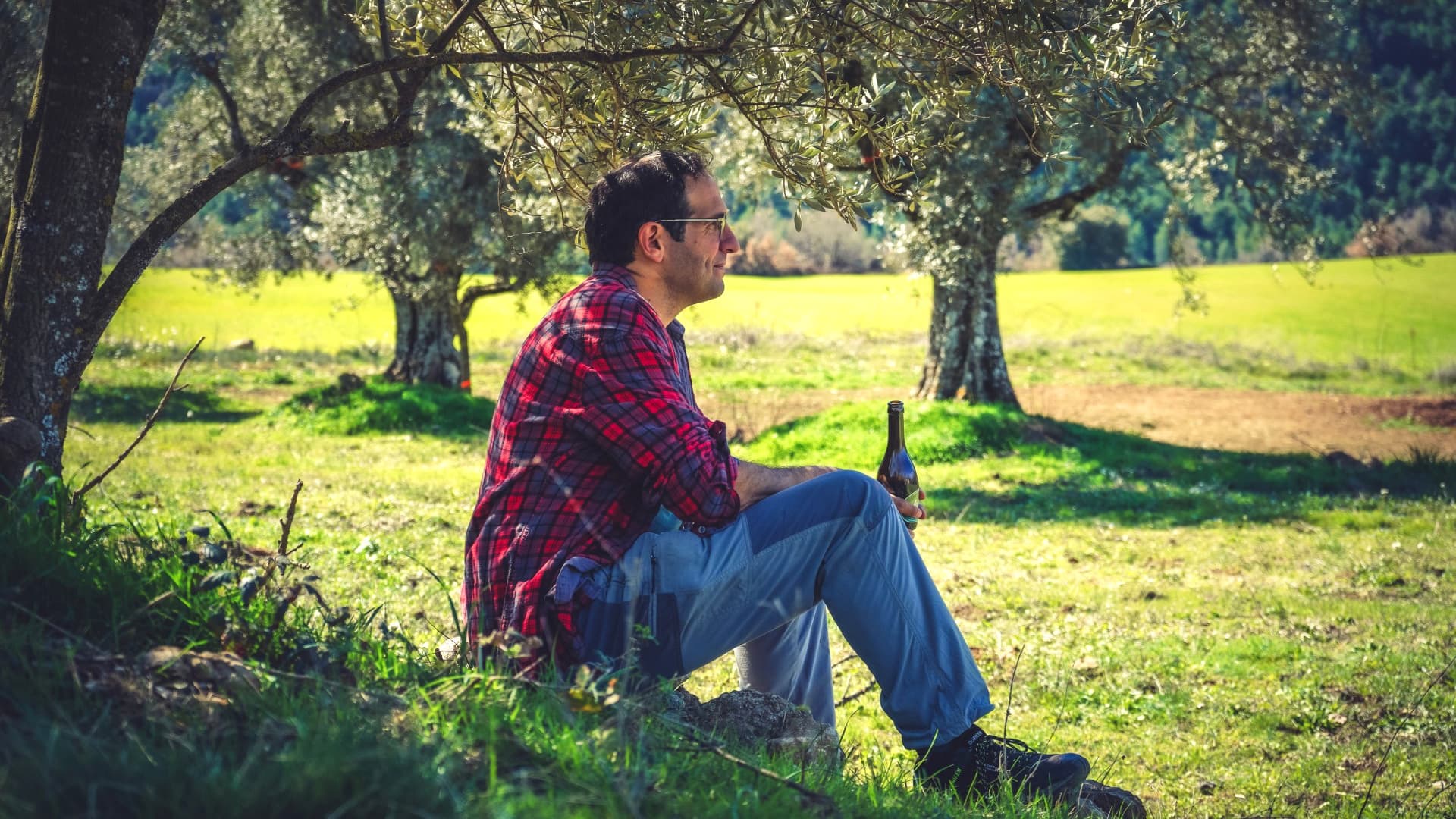 Spanish Company Awarded for 'Olive Beer' - Vimarsana News
