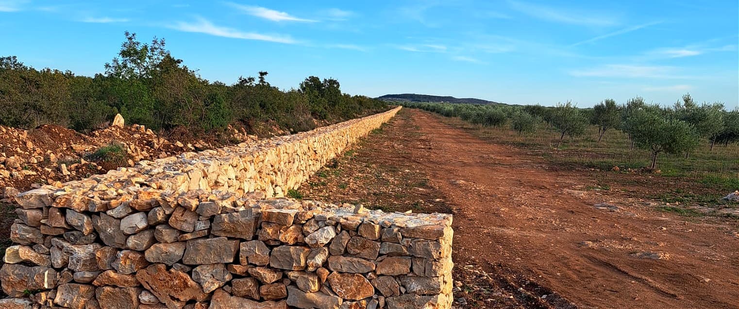 A dry-stone wall runs alongside a dirt path in an olive grove, with trees and hills in the background.