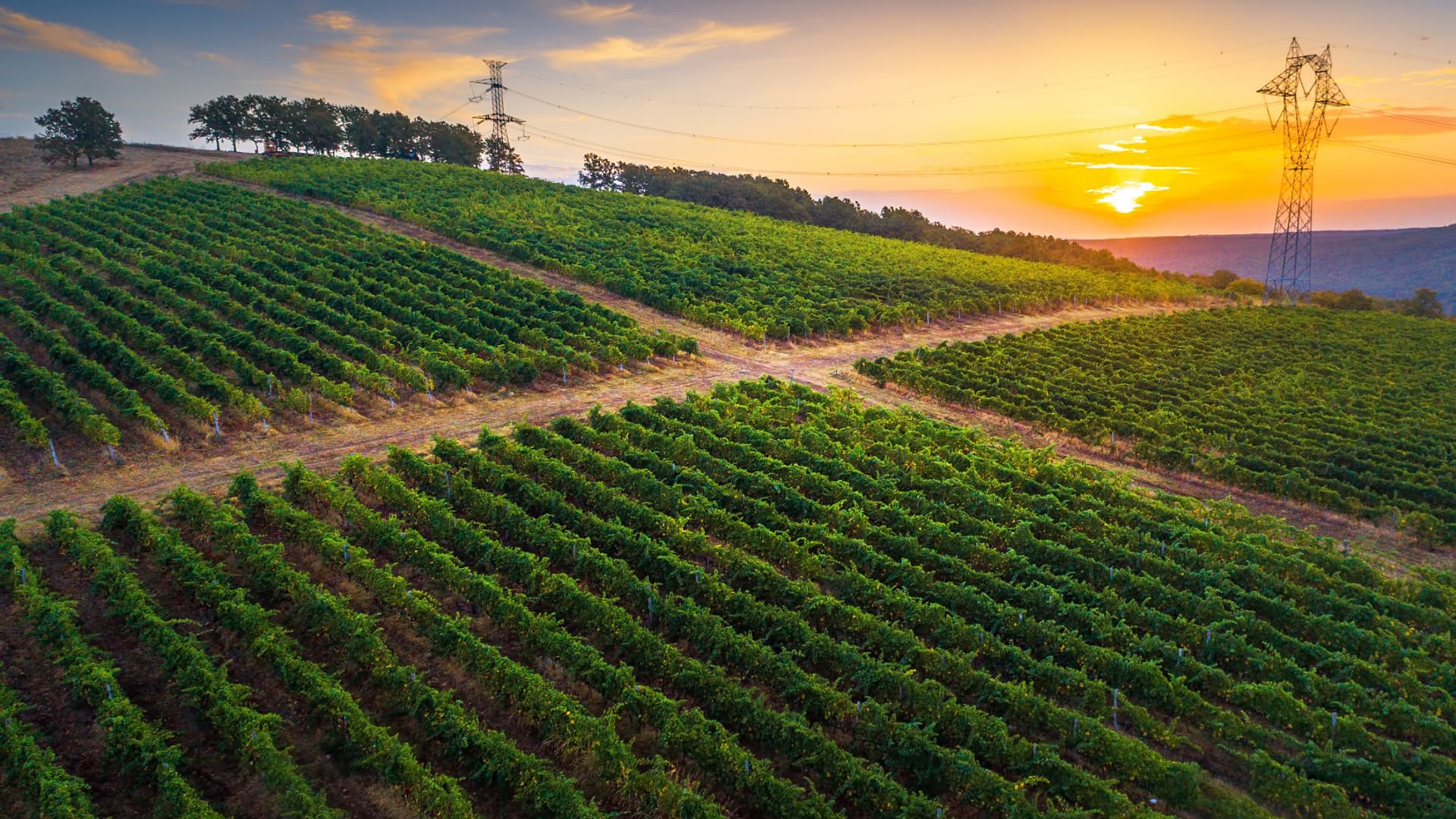 New Rules Govern Organic Food in the U.S. - Vimarsana News