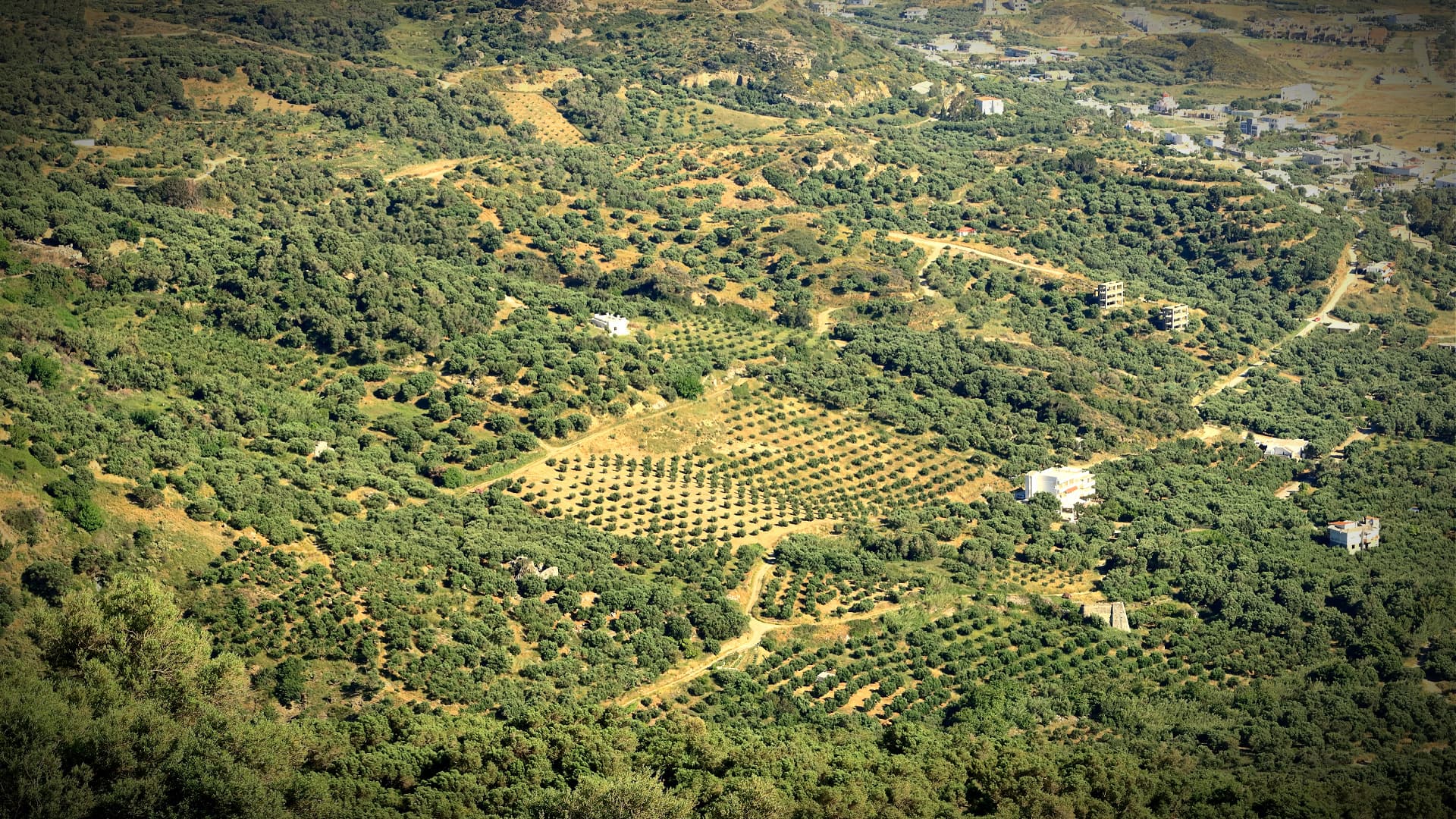 Greek Producers Ask for a Commission to Promote Exports - Vimarsana News