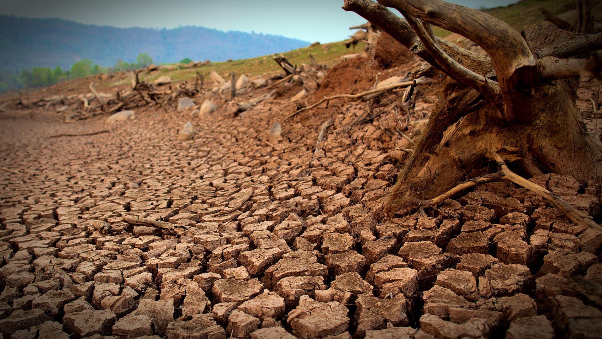 Report: Climate, Environmental Degradation Threaten European Food Security - Vimarsana News