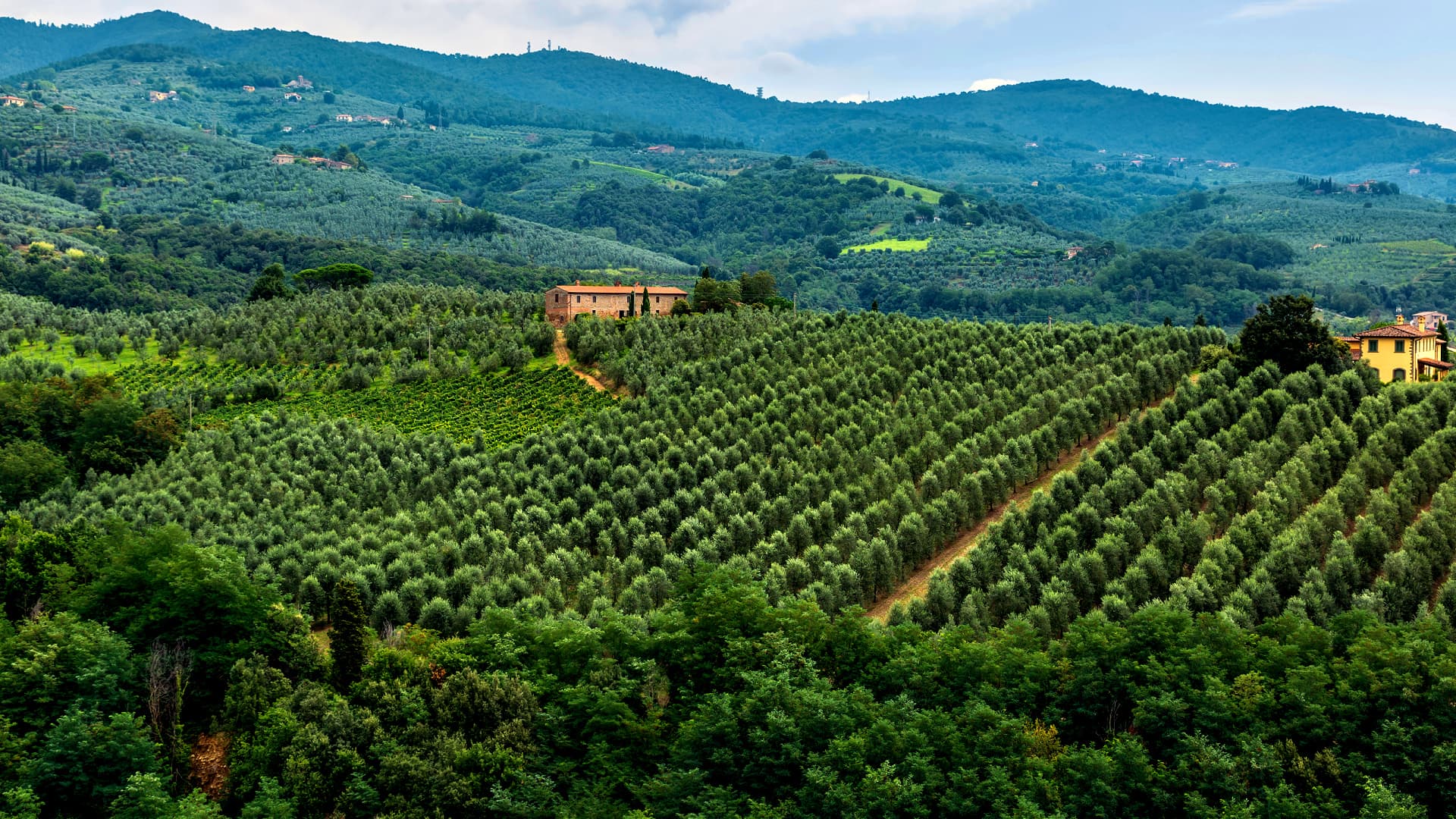 Italian Farmers Take Stock of Current Harvest, Look Ahead to Challenges - Vimarsana News
