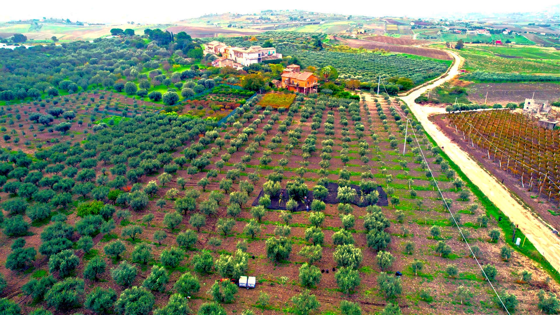 Francesco Di Mino’s farm in Scintilia