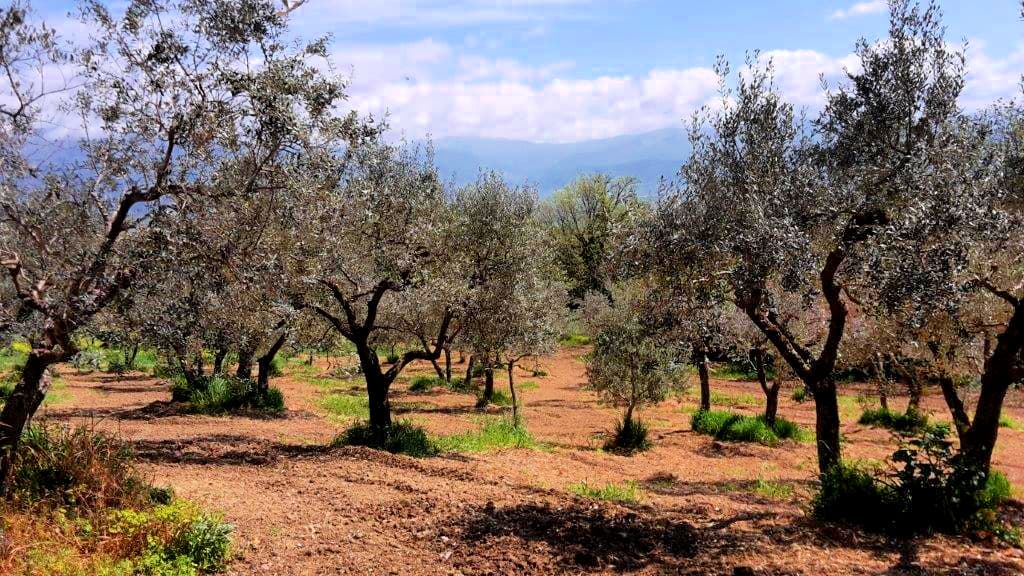 La Madonnuccia