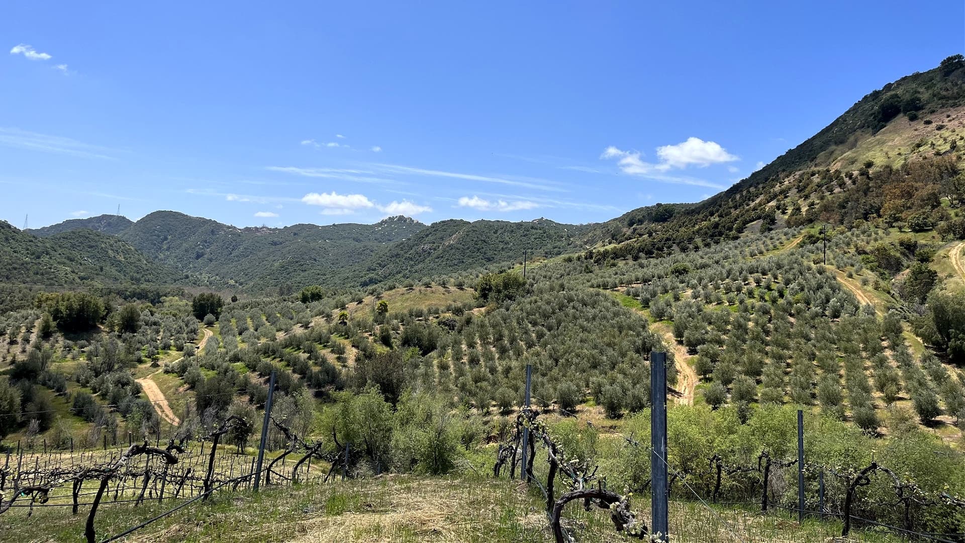 The Challenges and Triumphs of Taking Over an Award-Winning Farm in California - Vimarsana News