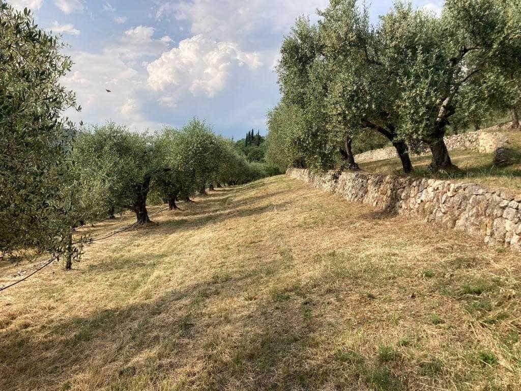 (Photo: Cordioli Erminio)