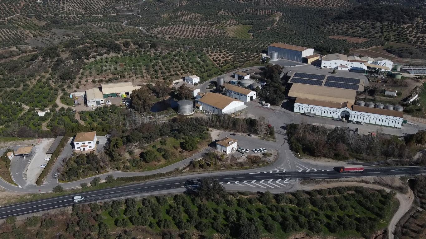 Solar panels help power the mills at Almazaras de la Subbética, but too much sun and not enough rain means the 2023/24 harvest will also be well-below average.