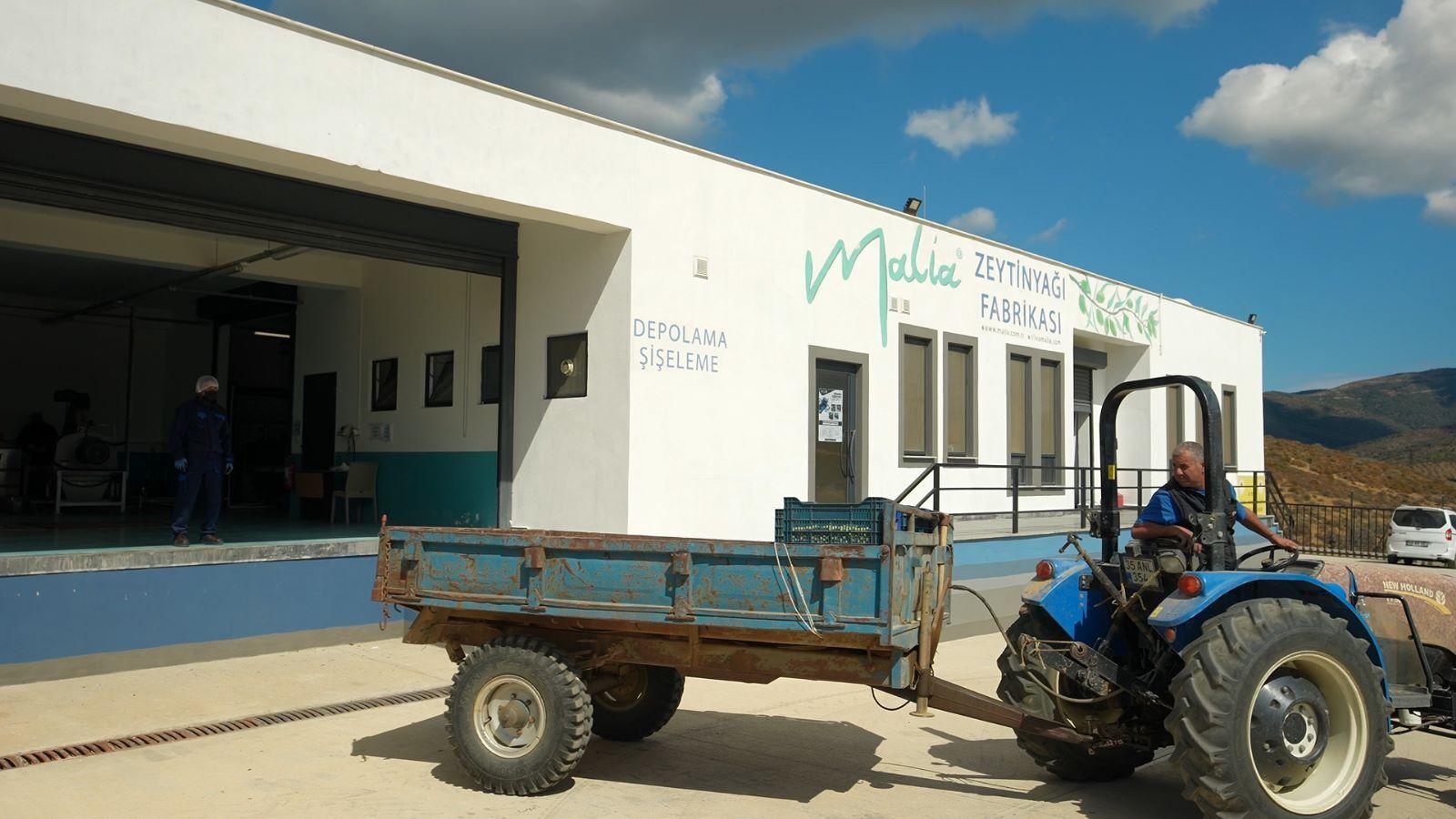 Oliva Malia mills up to 70 tons of olives per day at the height of the harvest.