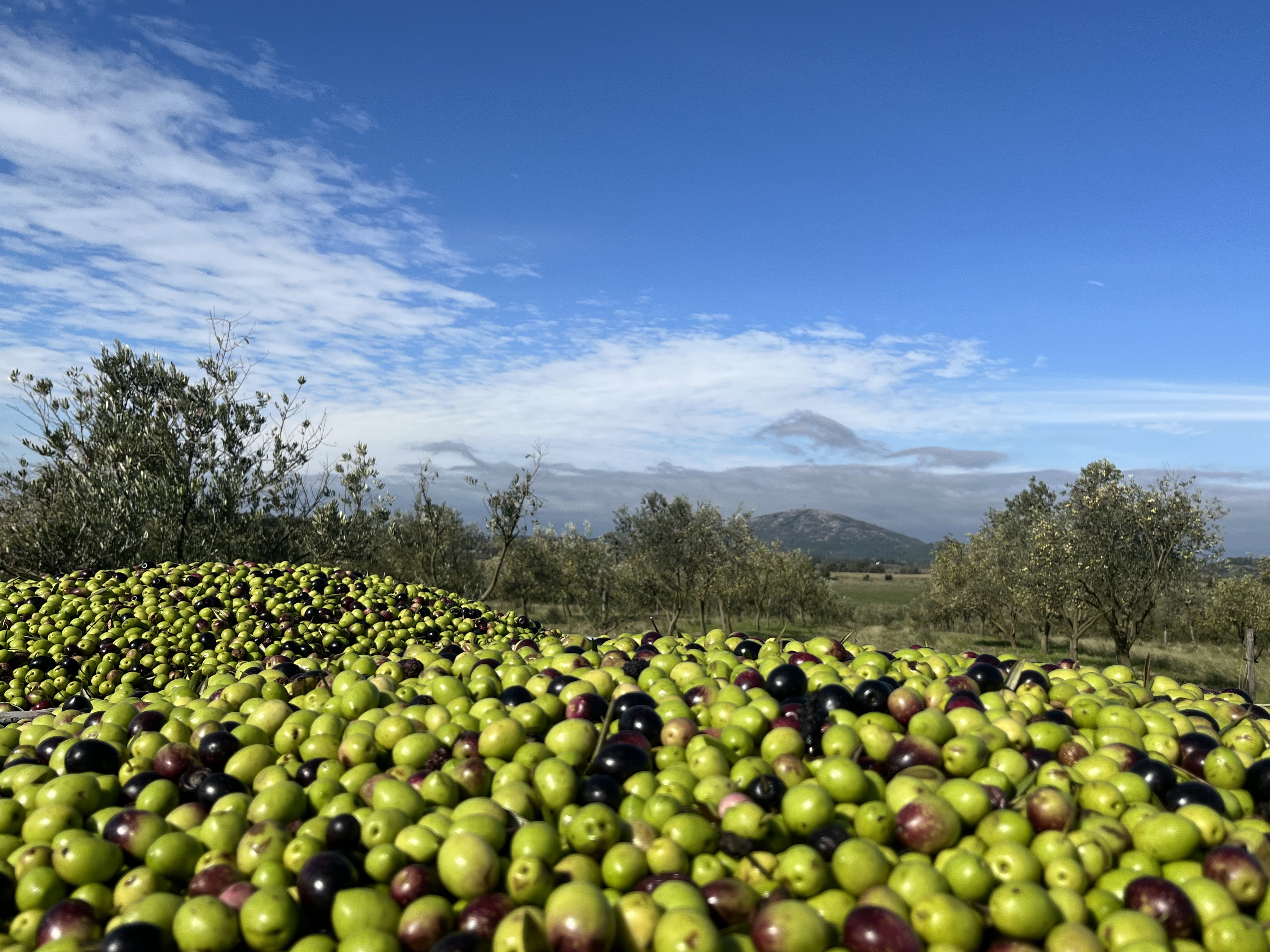 Olivos de las Ánimas sits just 10 kilometers away from the mouth of the River Plate.