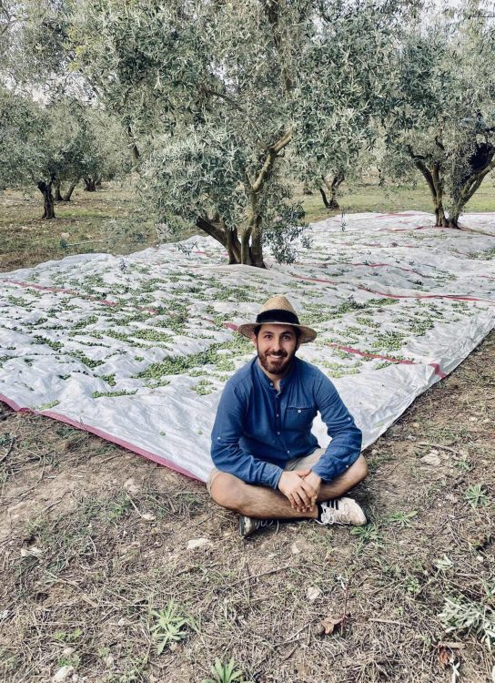 Yusuf Ozpinar harvesting in southwestern Turkey