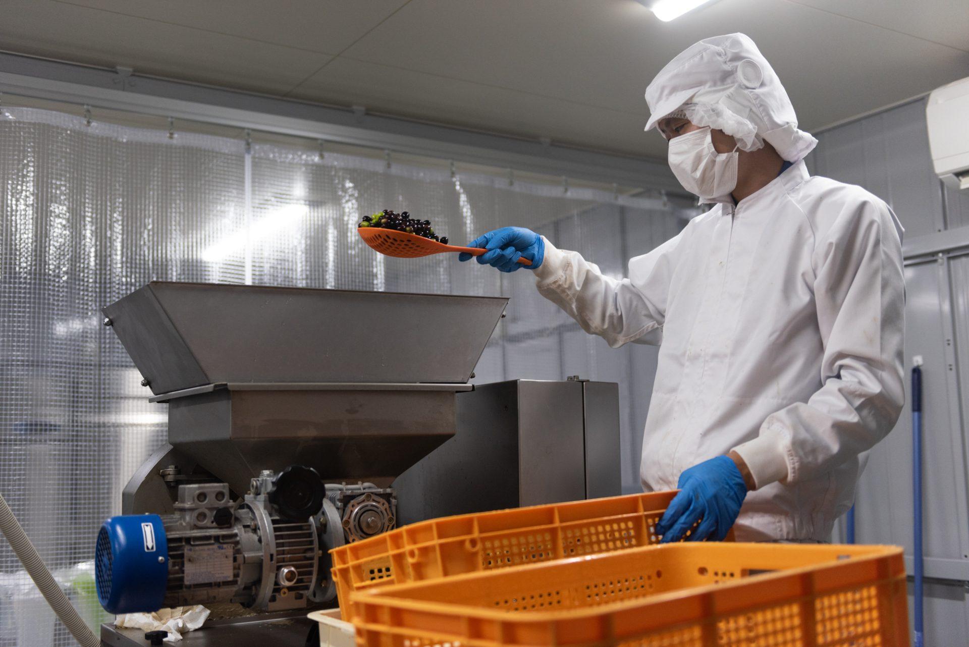 A worker in protective gear sorts grapes at a processing facility, using a scoop over a machine and orange bins.